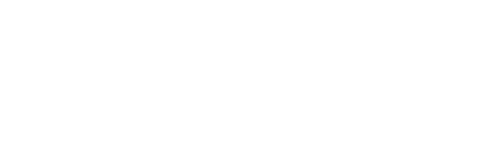 VZB